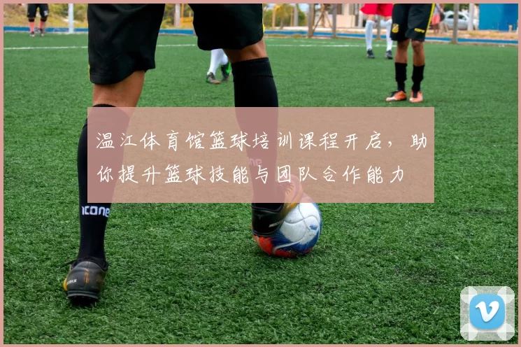 温江体育馆篮球培训课程开启，助你提升篮球技能与团队合作能力